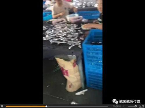 假鸡血爆料制作过程视频,视频带你一探究竟 第1张 假鸡血爆料制作过程视频,视频带你一探究竟 第1张